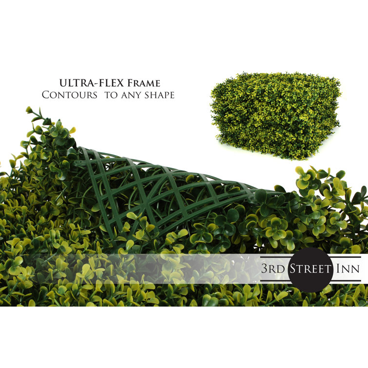 3rd Street Inn 2'' Faux Boxwood Hedge Wayfair Canada